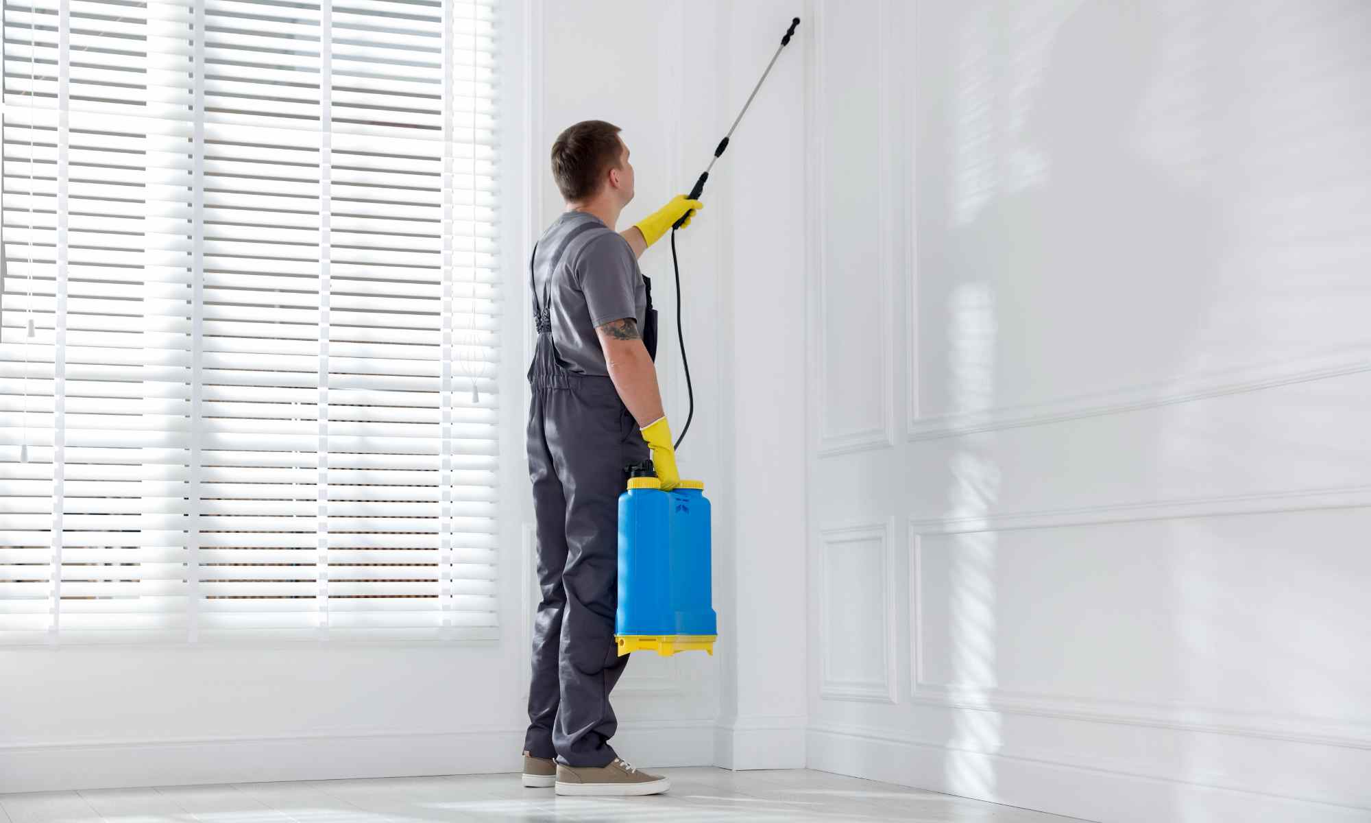 מדביר פרילנסר